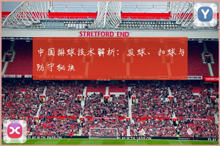 中国排球技术解析：发球、扣球与防守秘诀