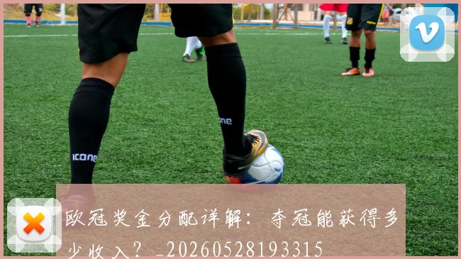 欧冠奖金分配详解：夺冠能获得多少收入？_20260528193315
