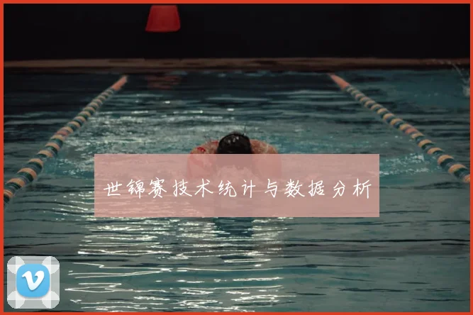 世锦赛技术统计与数据分析